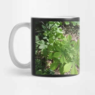 Leaves that look like stars Mug